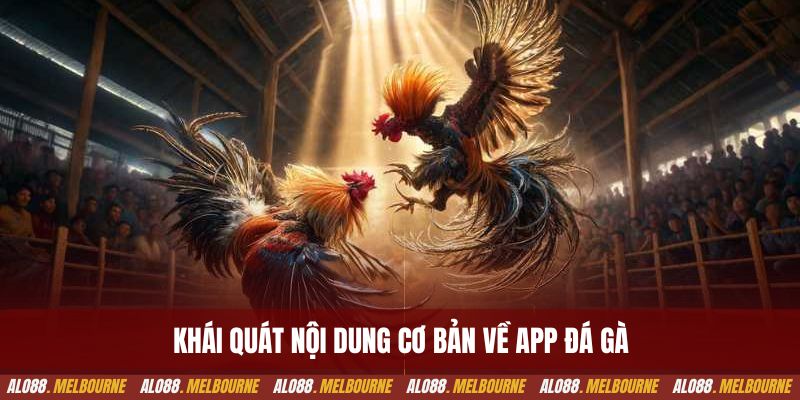 Khái quát nội dung cơ bản về app đá gà