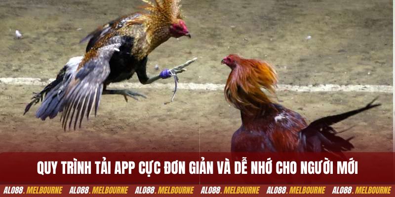 Quy trình tải app cực đơn giản và dễ nhớ cho người mới