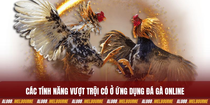 Các tính năng vượt trội có ở ứng dụng đá gà online