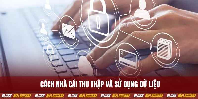 Cách nhà cái thu thập dữ liệu từ hội viên của mình