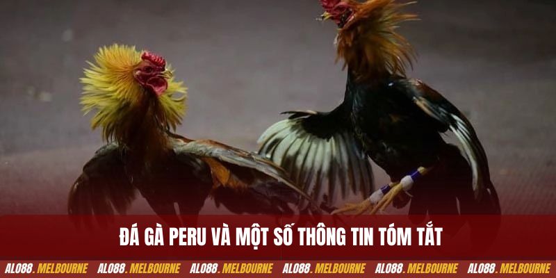 Đá gà peru và một số thông tin tóm tắt