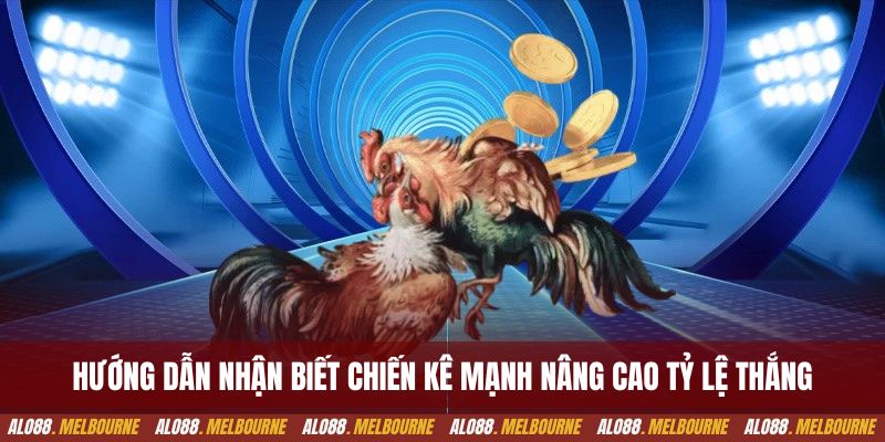 Hướng dẫn nhận biết chiến kê mạnh nâng cao tỷ lệ thắng