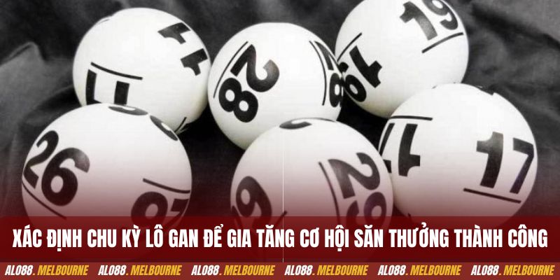 Xác định chu kỳ lô gan để gia tăng cơ hội săn thưởng thành công