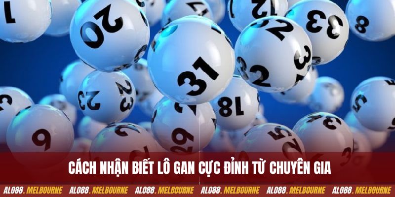 Cách nhận biết lô gan cực đỉnh từ chuyên gia