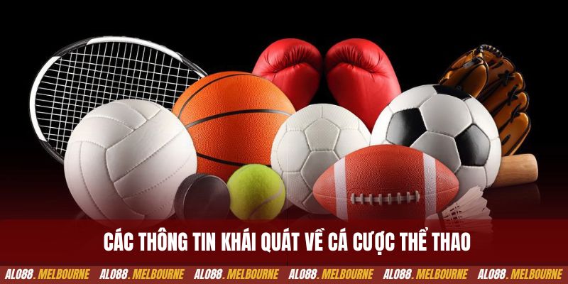 Các thông tin khái quát về cá cược thể thao